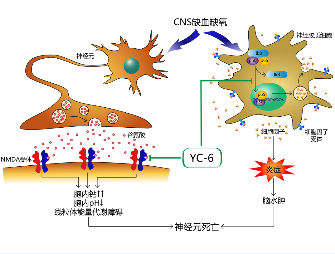 1536133568231072.png 赛普特4.png
